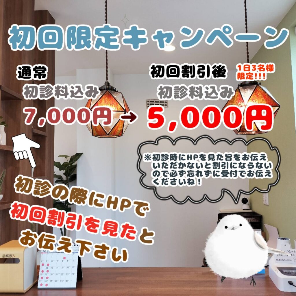 ととのえ鍼灸院 院内 札幌市白石区